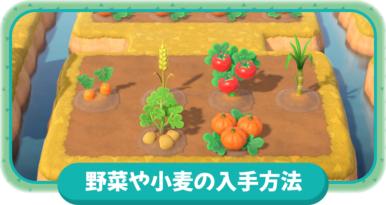 あつ森 野菜の苗を揃える方法 オフライン・一人ぼっちでも揃う？しゅみふる
