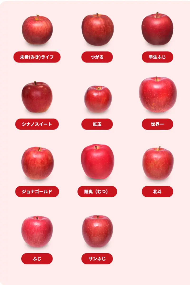 青リンゴを遺伝子組み替えず赤リンゴに、品種改良に応用の可能性 弘前大などが仕組み解明 : 読売新聞