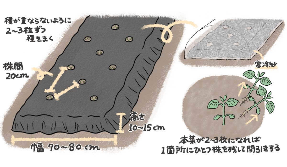 枝豆 栽培セット えだまめ 種 プランター 2個 土 20リットル種から育てる 苗 にして収穫を楽しめるFleur Town吉本花城園