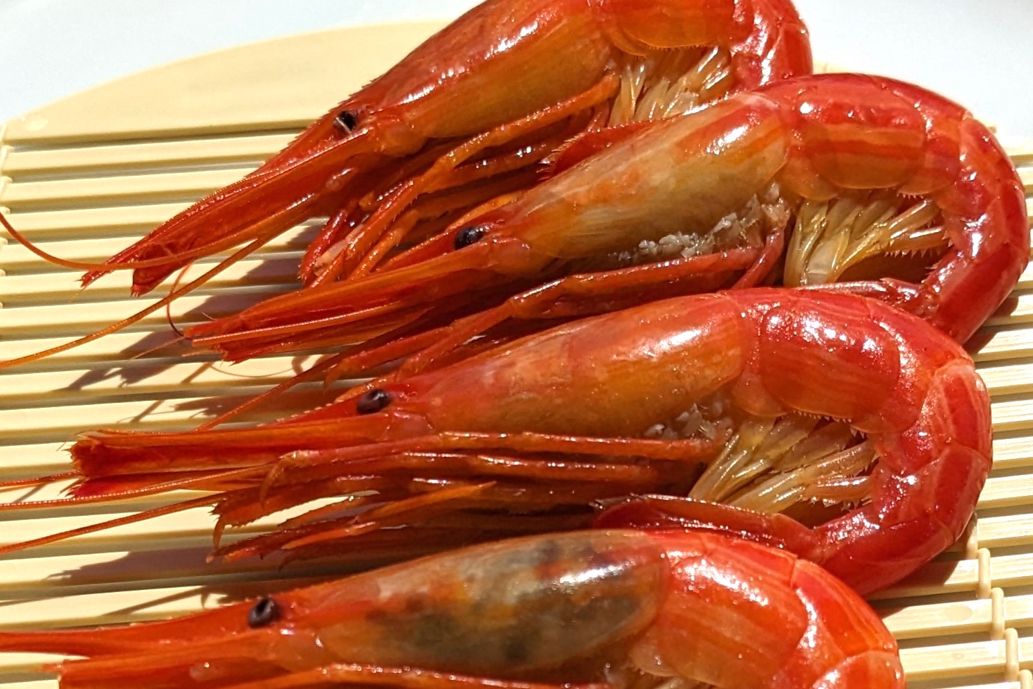 ホッカイエビホッカイシマエビ市場魚貝類図鑑