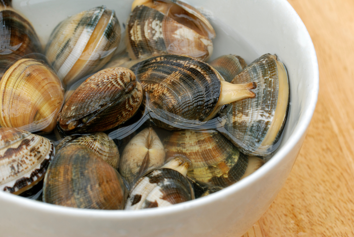 あさりの砂抜き＆保存テク、失敗しない方法をプロが解説簡単レシピも併せて紹介サンキュ