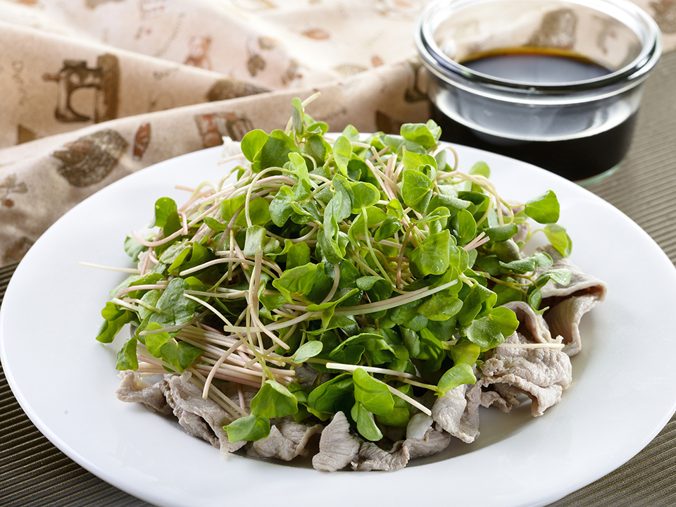 スプラウトの種 そばスプラウト そばの芽固定種・有機種子※無消毒 - 種の専門店松尾農園オンラインショップ