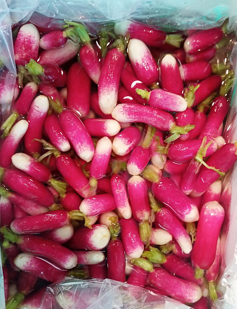 信明商事 千切大根漬 1000g豆腐・納豆・漬物,漬物 のネット通販食のプロ御用達の業務用・給食用食品・冷凍食品通販ナカヤマフーズオンライン