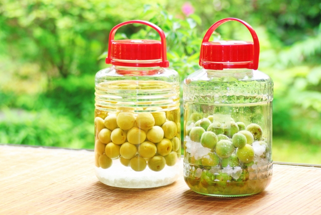 ブランデー梅酒人気15品厳選ご紹介。お取り寄せ通販して楽しむ贅沢なひととき♪TrustCellar トラストセラー