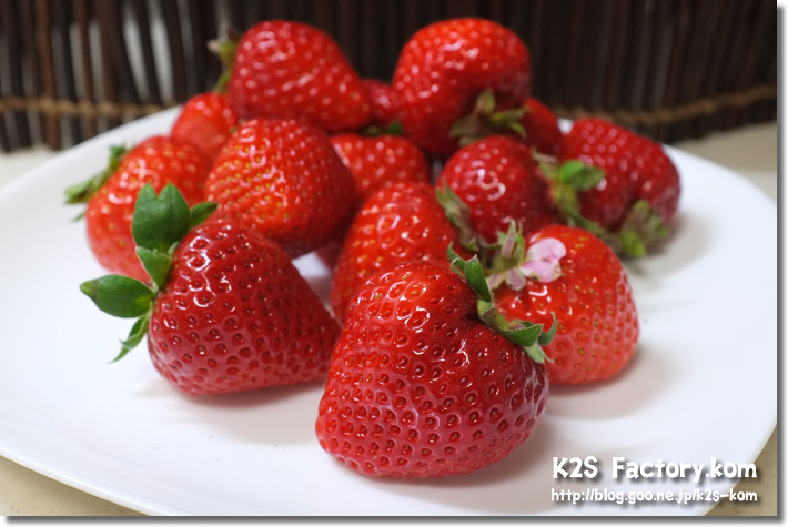 イチゴ バラ科 －バルコニー栽培振り返った