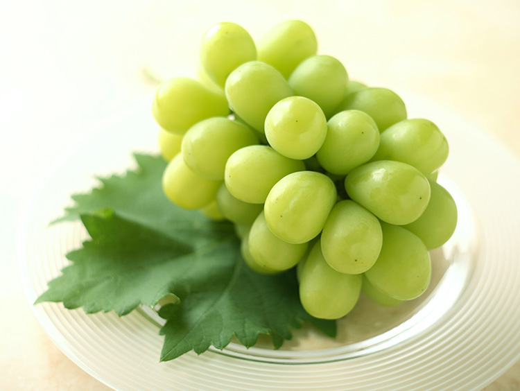 シャインマスカットより美味しいぶどうってある？シャインマスカット好きにおすすめできる品種をご紹介！田中ぶどう園公式オンラインショップ