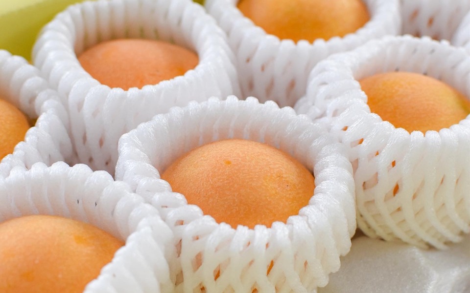 びわの剥き方と皮の活用法！美味しく食べて健康になろうJA長崎せいひ公式オンラインショップ長崎県の特産品のお取り寄せ