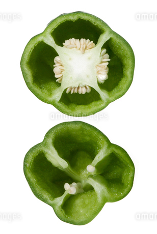 野菜の切り口でスタンプアート！工作や自由研究をしてみよう！GardenStoryガーデンストーリー