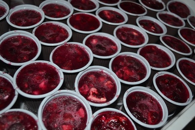 アフリカ伝説の万能薬、スーパー果実「バオバブの木の実」カラパイア