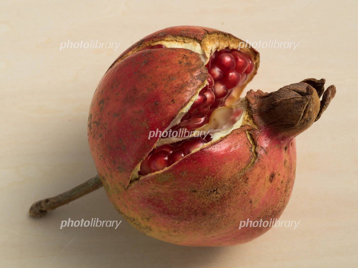 新鮮なザクロの断面図。の写真素材・画像素材 Image 1797058