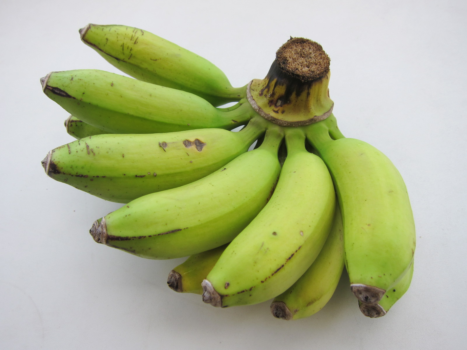 バショウの実 - 鹿児島の自然と食