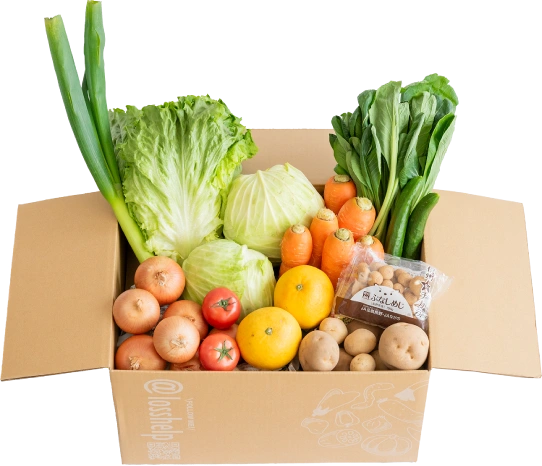 新鮮な野菜 写真素材5488477- フォトライブラリ