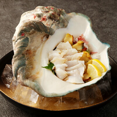 貝のイロイロ アーカイブ - 津御殿場の潮干狩り図鑑