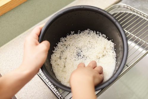 冷めても美味しい！お弁当に差がつくおにぎりの作り方日々おにぎり 毎日のおにぎりアレンジ集