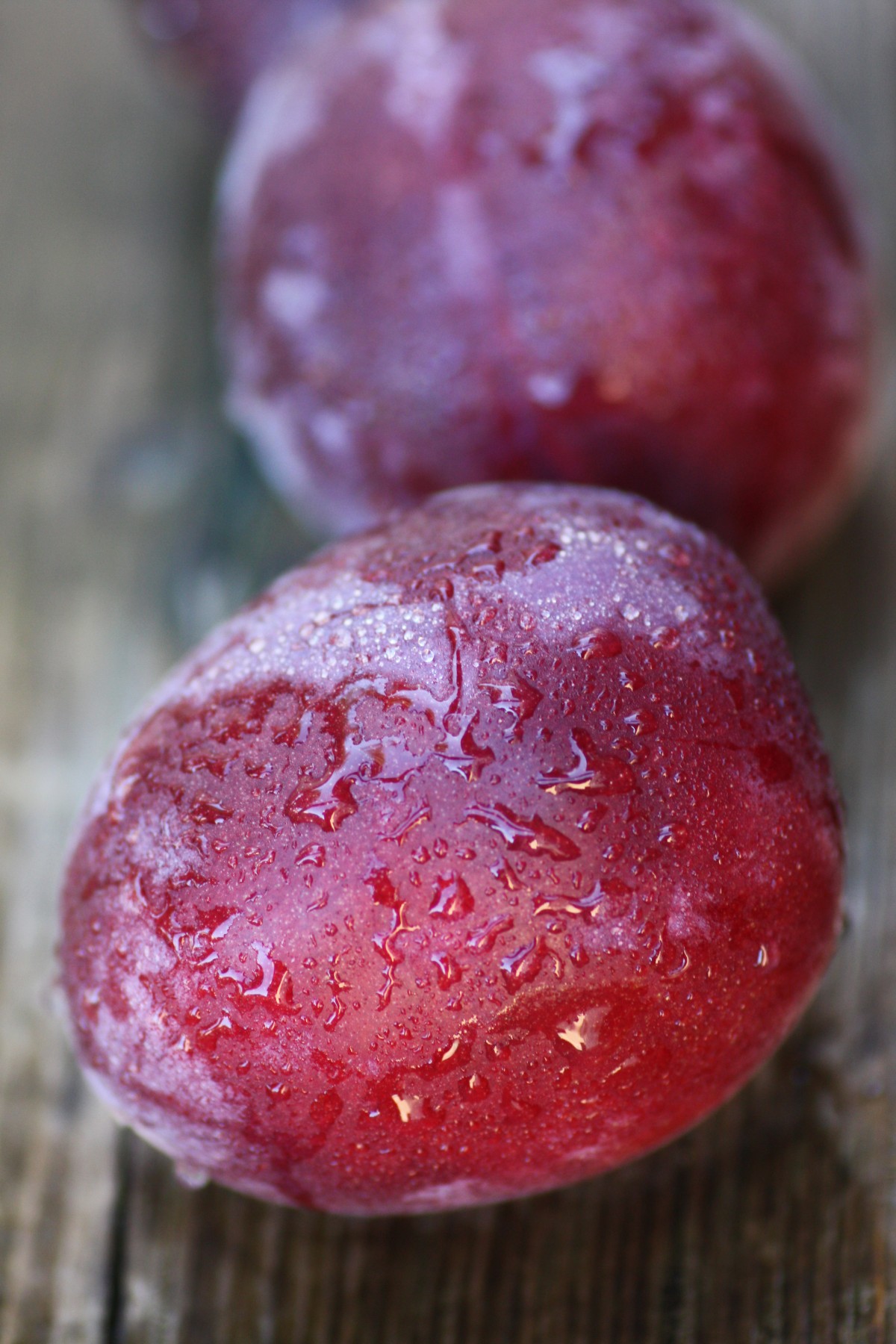 紫の宝石・佐久のプルーン 生あさドリ 農産品通販サイト