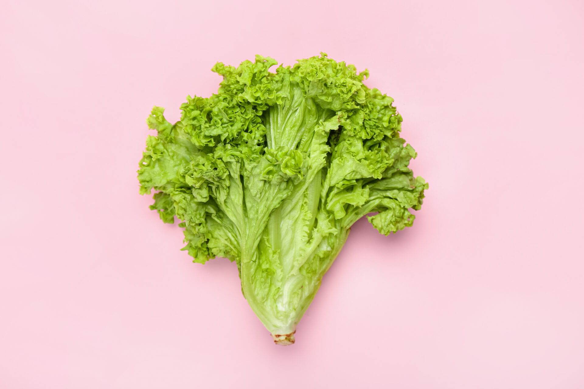 レタスの変色を防ぐ方法 をお試し！切り口がずっとキレイ♪えぐみもなくパリッと食感をずっとキープ♡2024年10月21日- エキサイトニュース