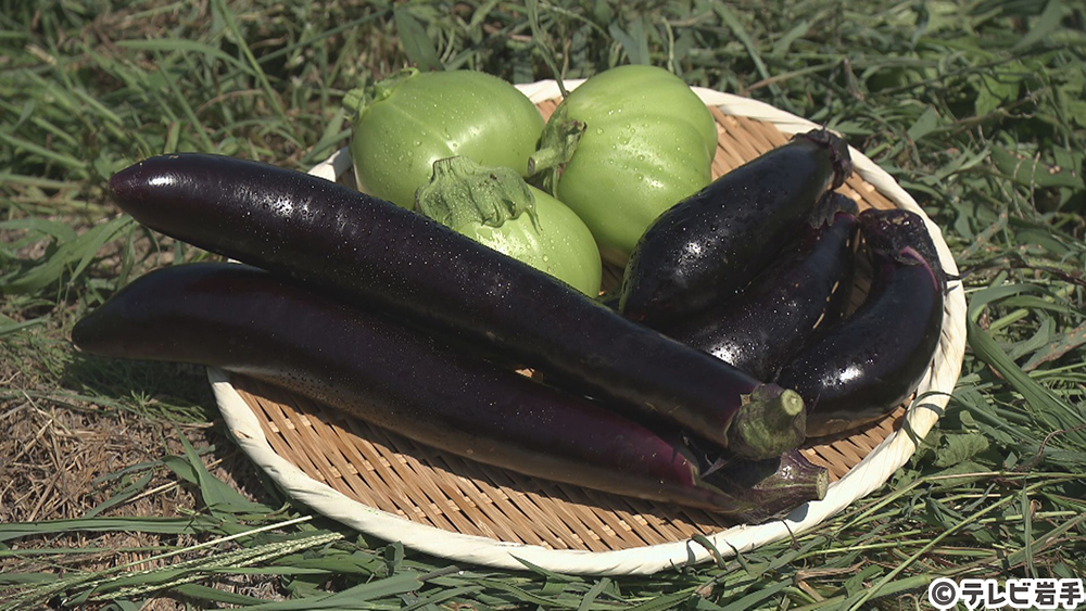盛岡・滝沢 移動焼き芋 発見！ - いわての風土とフード