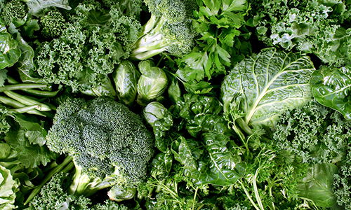 可愛い野菜のイラストセット無料で使えるイラストサイト – フリー素材Illustrator Factory