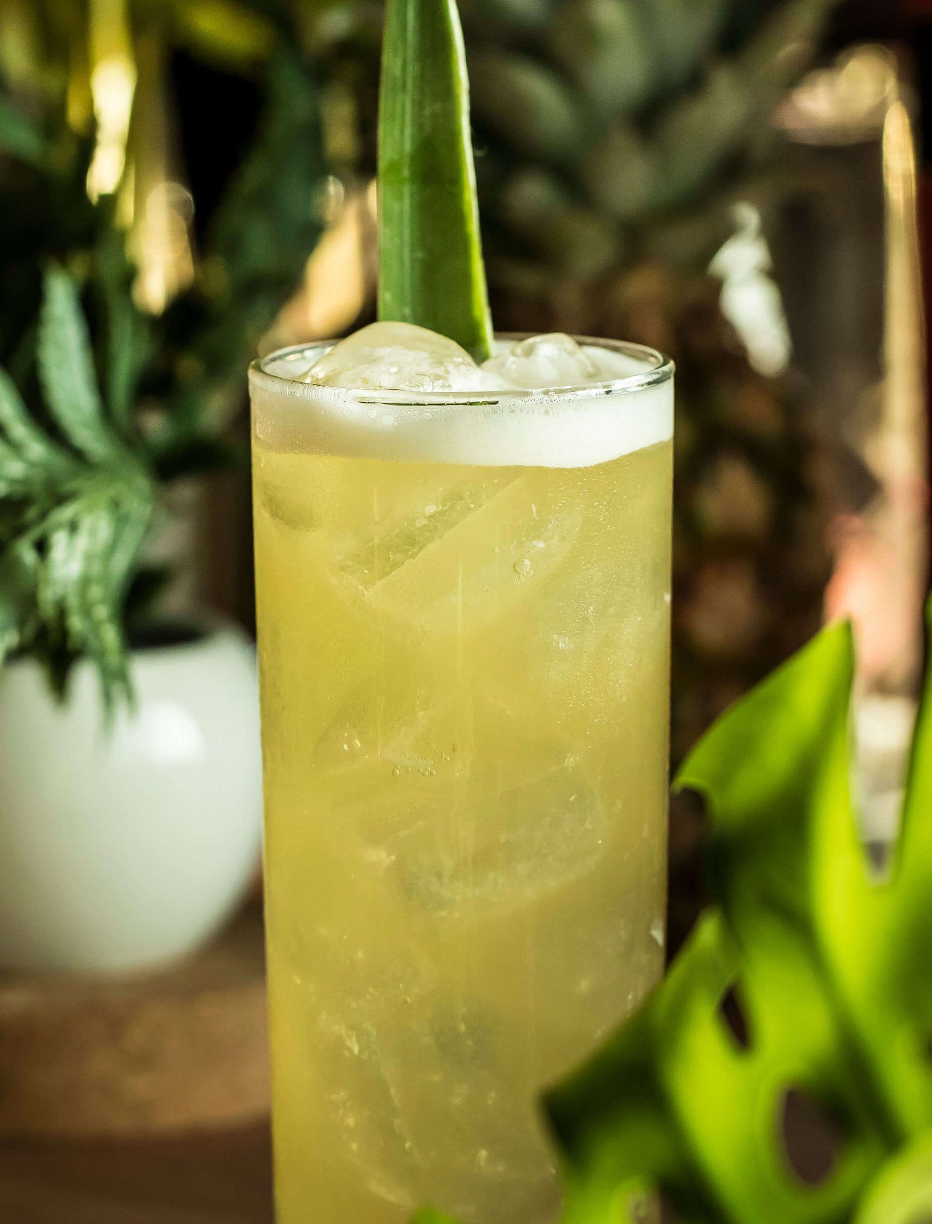 王者の風格漂う「シーバスリーガル」の代表的な銘柄と飲み方を知ろう！たのしいお酒.jp