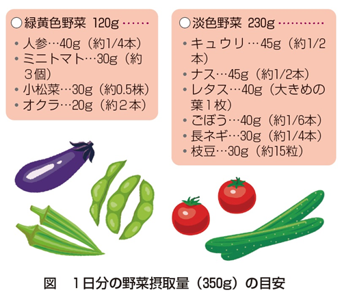 栄養満点で滋味あふれる沖縄の「島野菜」の魅力 – オリオンストーリ