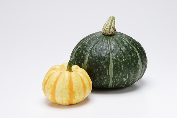 かぼちゃの栄養！種類ごとの違いと、種に含まれる栄養も紹介カゴメ株式会社