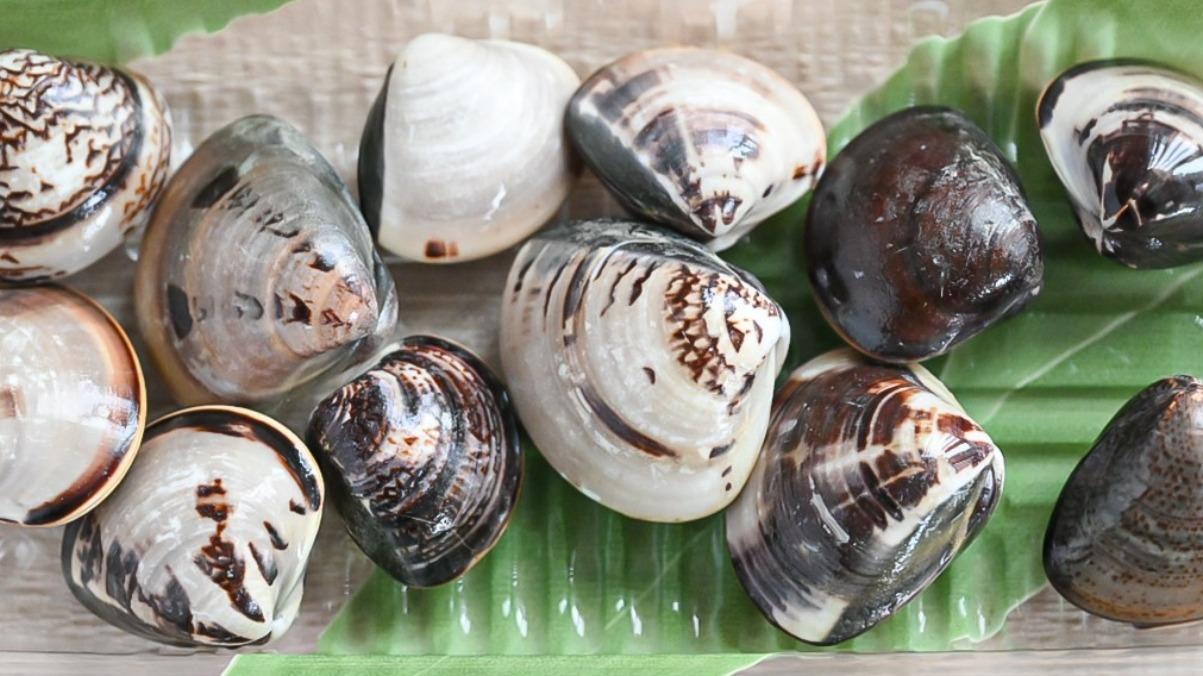 潮干狩りで獲れたハマグリの保存方法は？口が半開きになったら食べない方がいい