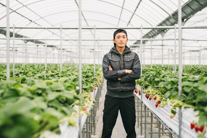 イチゴ農園が考えた、燃料代高騰に振り回されないための3つの作戦マイナビ農業