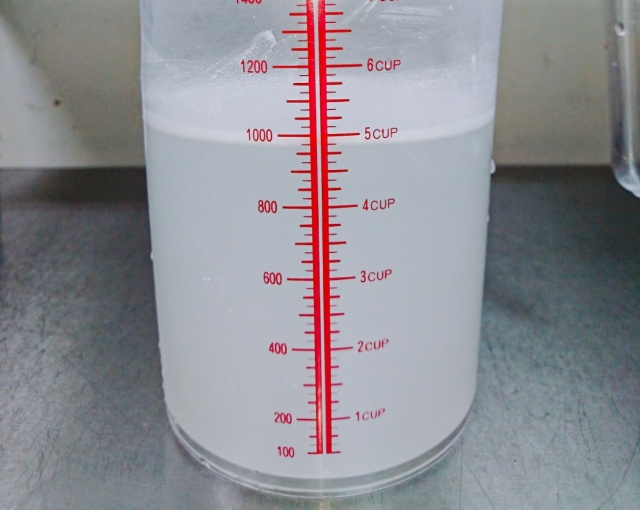 チーズのカリカリ羽根つき餃子隆祥房