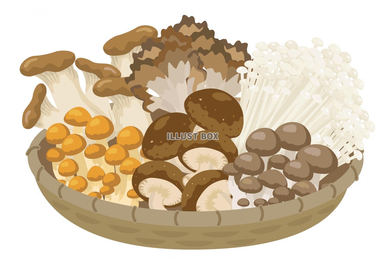 22,700点を超える野菜 かごのイラスト素材、ロイヤリティフリーのベクター素材グラフィックスとクリップアート - iStock野菜 ざる, 野菜新鮮, 野菜 収穫