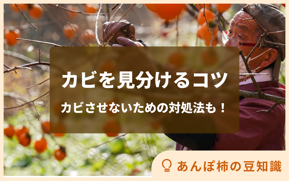 あねっくすブログ » 干し柿はじめました