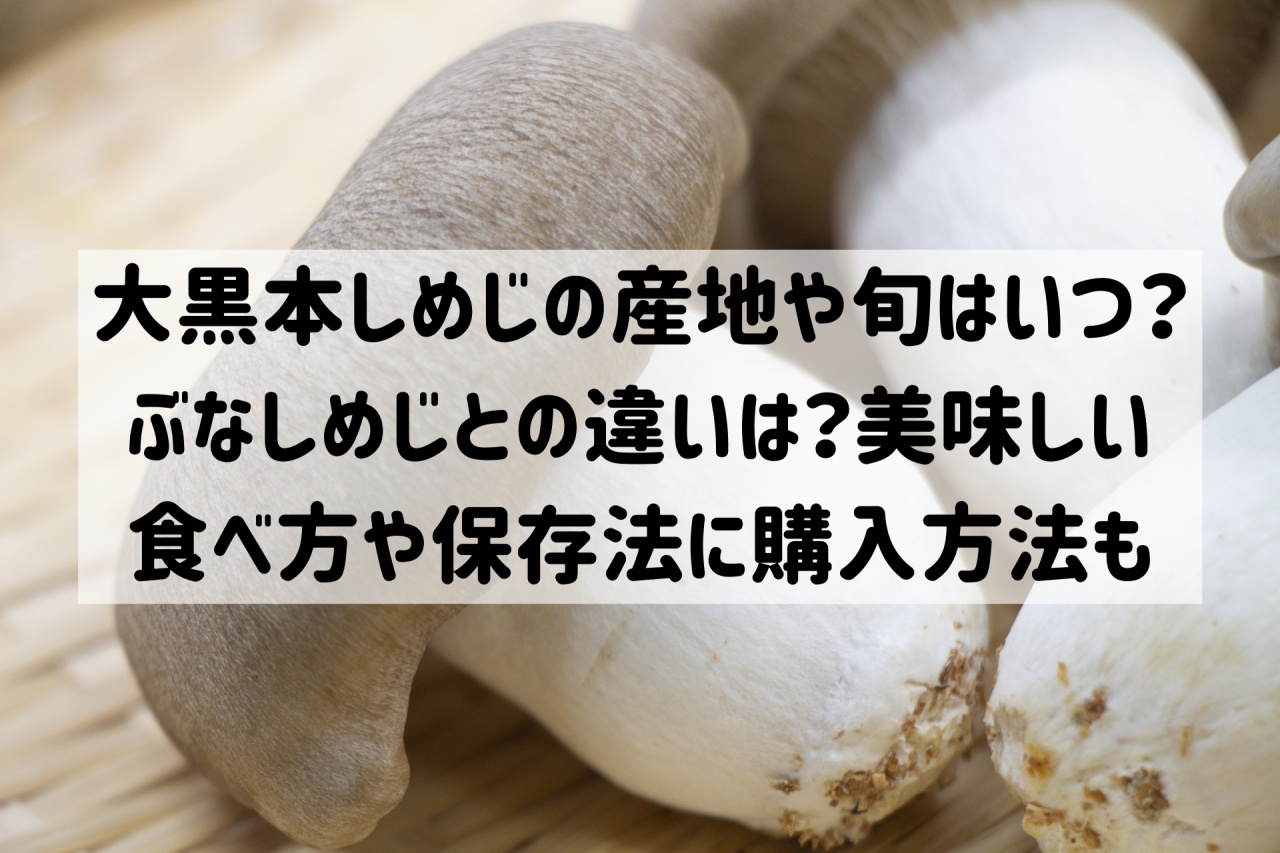 丹波しめじの試食宣伝を行いました！お知らせ福岡大同青果株式会社