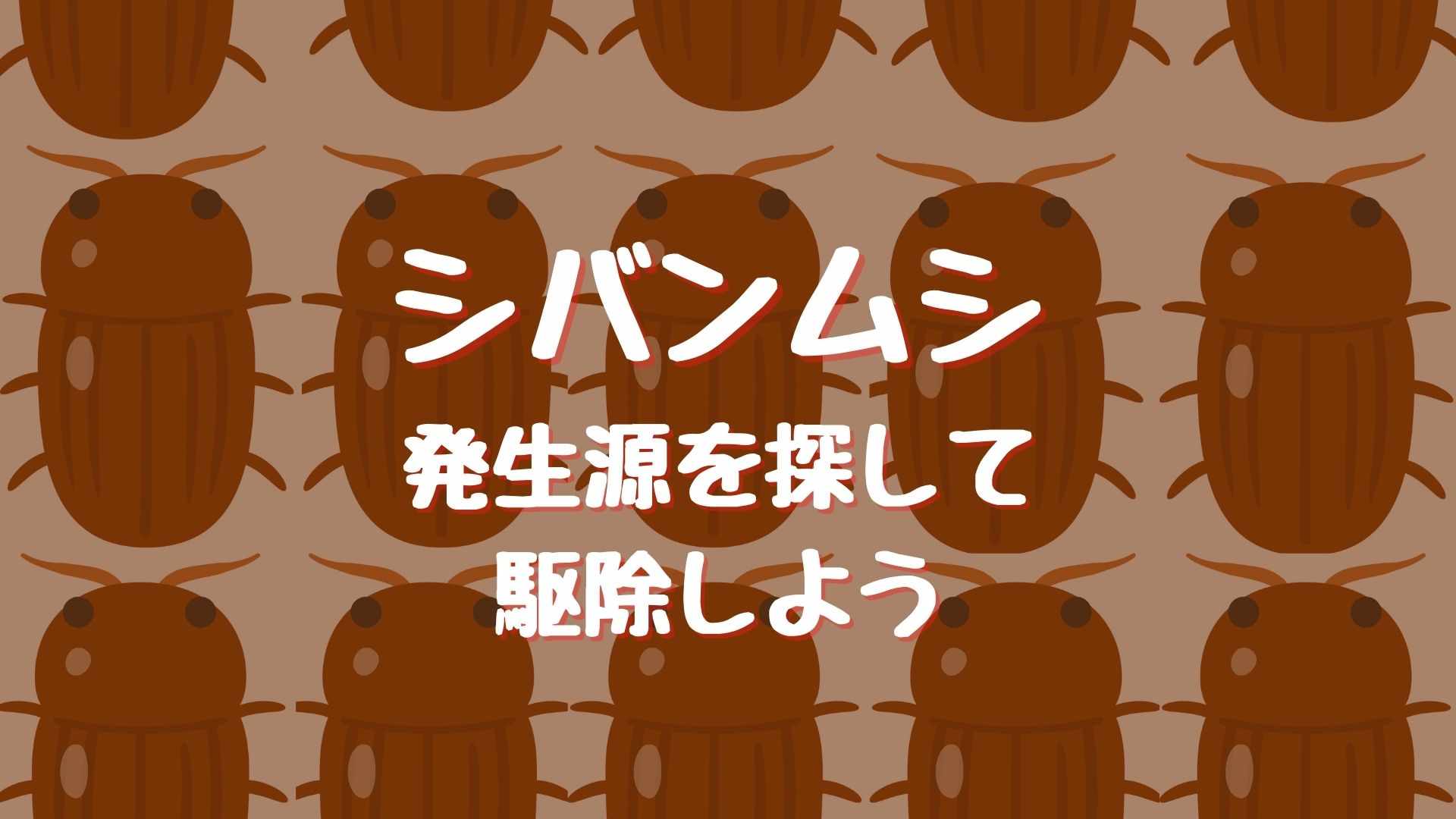 小豆に虫が湧く理由と駆除方法！虫食いは食べられる？選別と予防も！デジャブロ.com