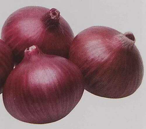 普通の玉ねぎとどう違う？「葉玉ねぎ」おすすめの食べ方25選 - macaroni