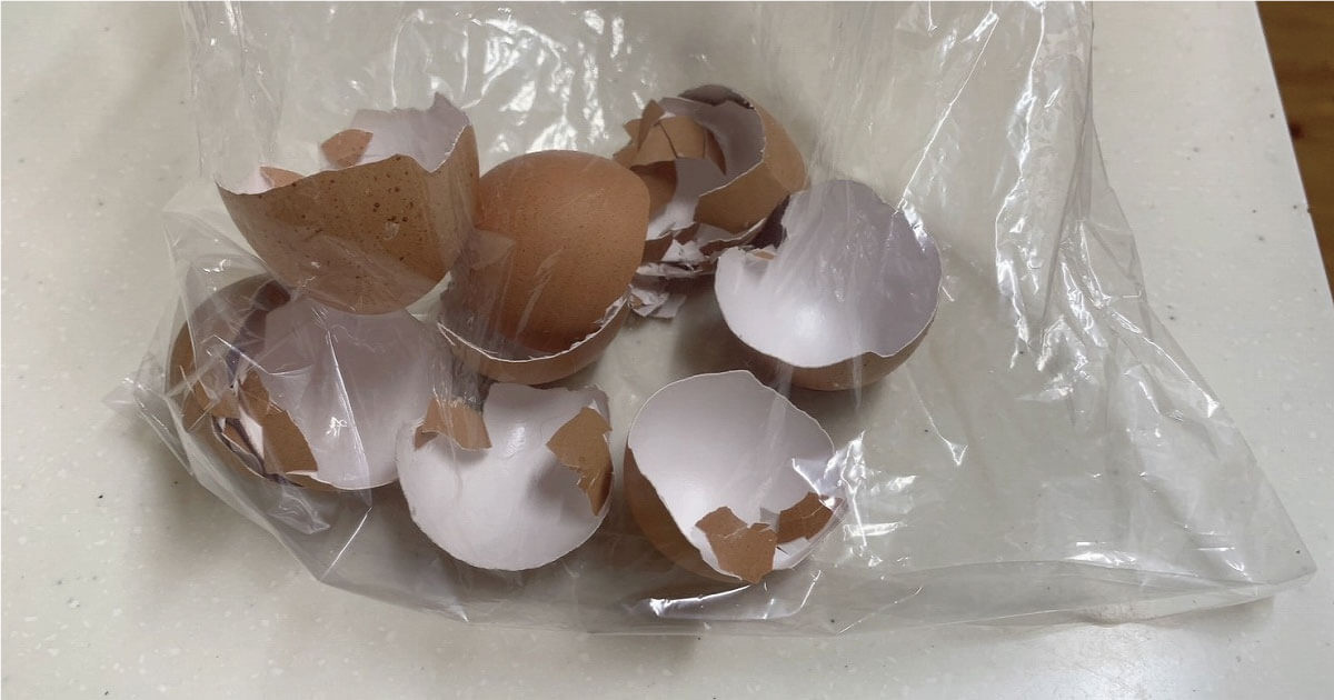 卵殻肥料の作り方 ① 準備 • 使った卵の殻 好きな数• 水 • 乾燥用の新聞紙やトレー • すり鉢・ミル・ジップロックなど 粉砕用⸻ ②洗う • 卵殻の内側の薄皮 白い膜 をなるべく取り除く • ぬめりを取るために水で軽く洗う ⸻ ③ 乾燥 • 新聞紙やトレーに広げて