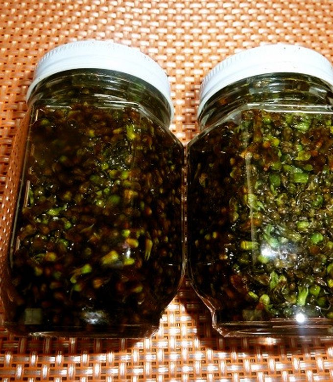 しその実漬け