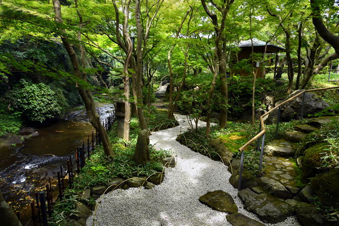 竹林の風に誘われ お抹茶のぬくもりが心を癒す 報国寺×祇園辻利- 鎌倉市観光協会時を楽しむ、旅がある。～鎌倉観光公式ガイド～