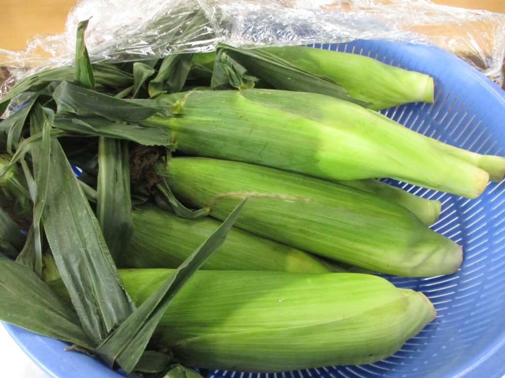 とうもろこしの皮むきを行いました！！第四峡田小学校