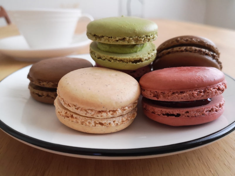 売切れ もふもふ♡マカロンちゃん 売切れ もふもふ♡マカロンちゃん Macaron Chan 南フランス田舎