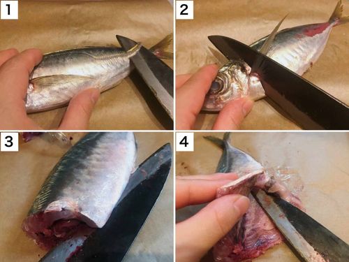 アジのさばき方からアジフライ 料理の基本 C CHANNELレシピ