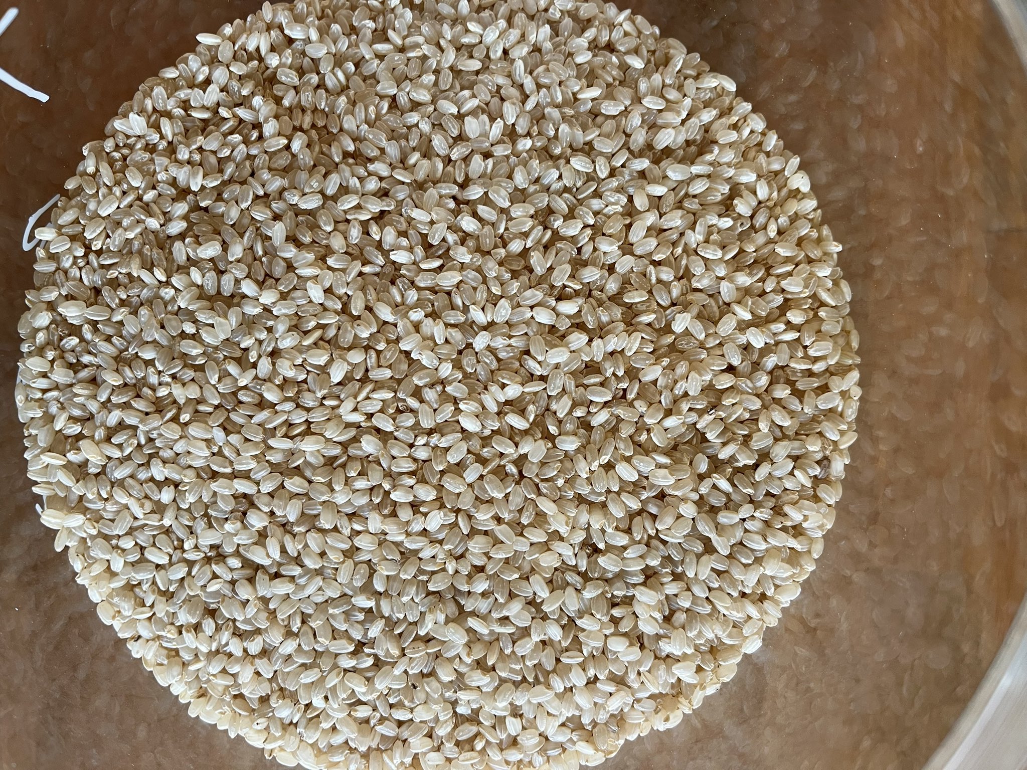 由井野菜園@yui_yasaien• Instagram photos and videos