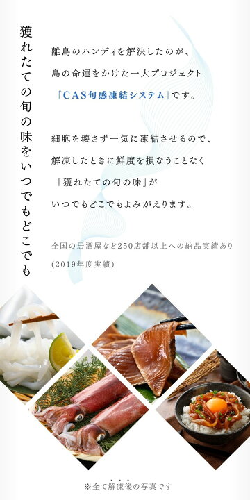 楽天市場 イカ軟骨の通販