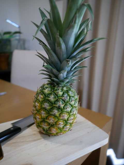 台南市關廟のパイナップル栽培立正大学地理学科