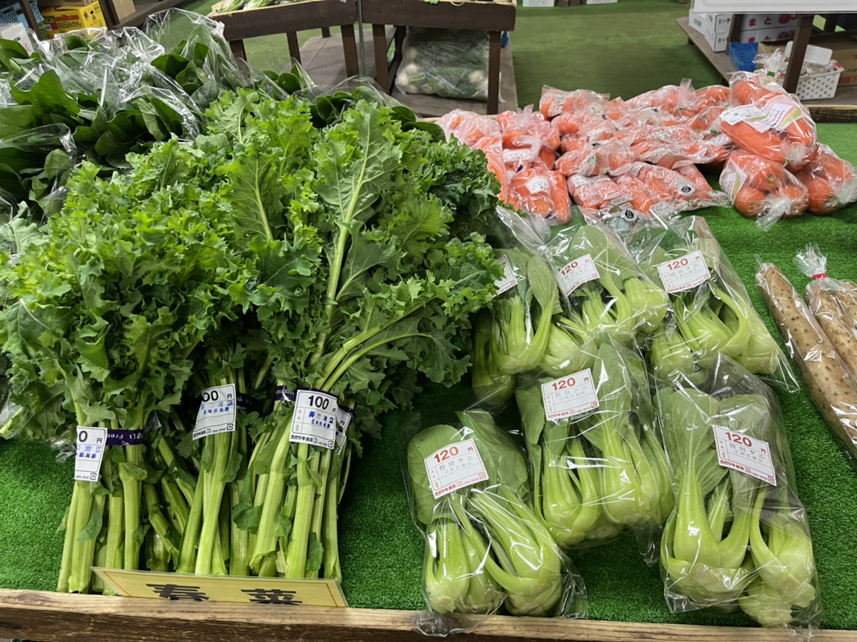 栄養たっぷりの葉物野菜！ほうれん草を食べよう！コラム詳細HATTORI DINER 服部学園オリジナルレシピ