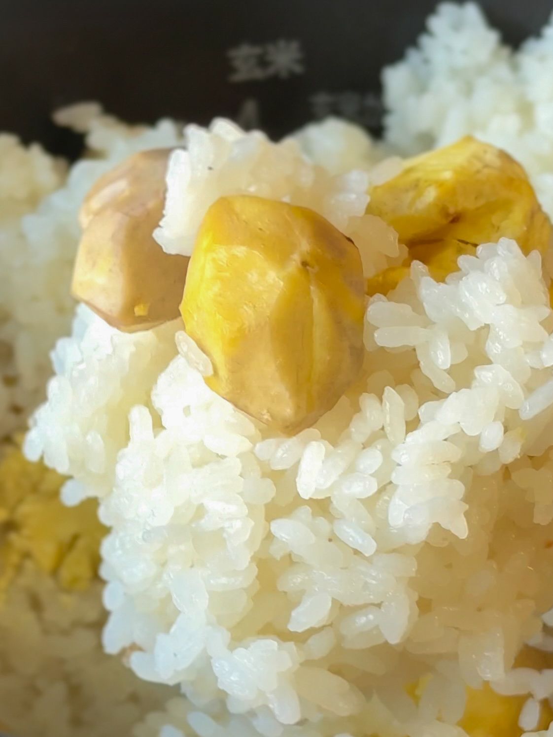 むき栗で簡単！入れて炊くだけのお手軽栗ご飯レシピ