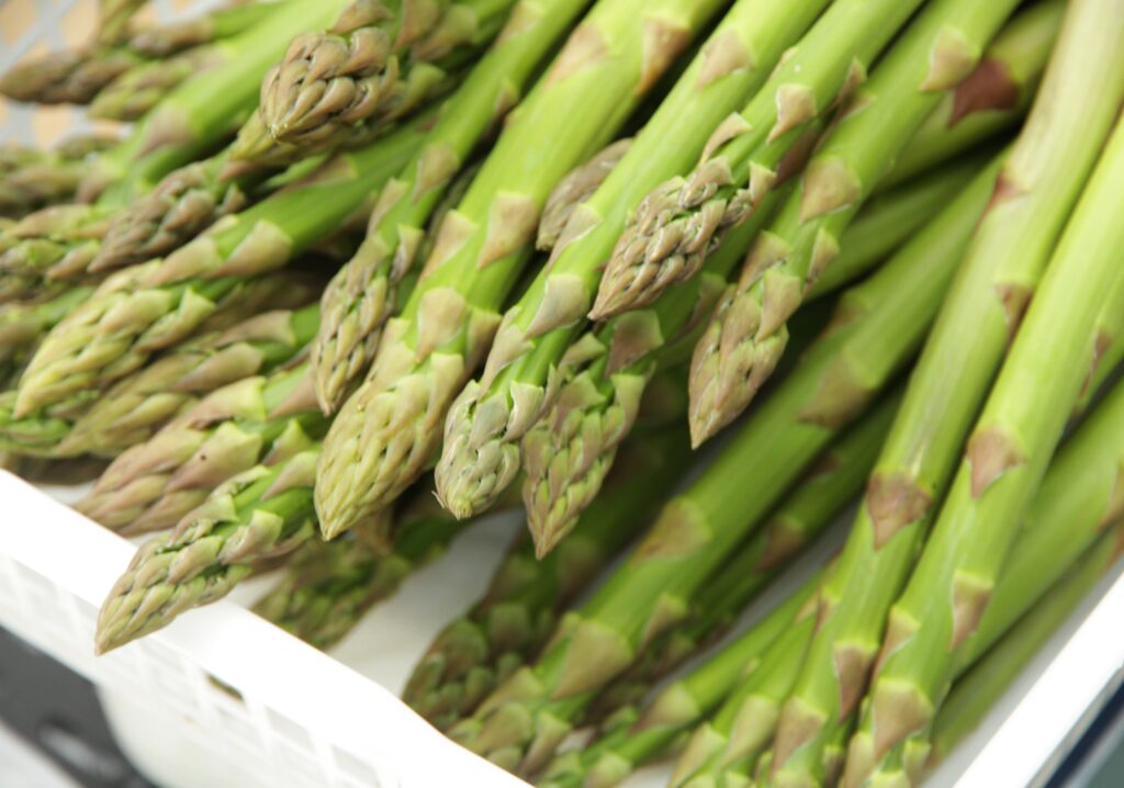 野菜：アスパラガスJA香川県 - 香川県農業協同組合
