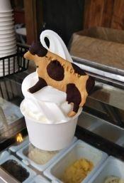 メニュー写真 : 狩野牧場 内堀店カノボク- 豊岡市その他 ジェラート・アイスクリーム食べログ