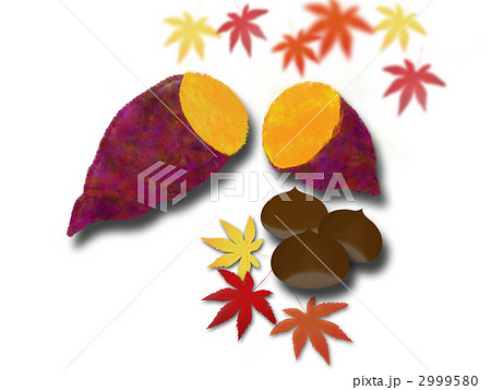 焼き芋あれこれ株式会社 介護の太助