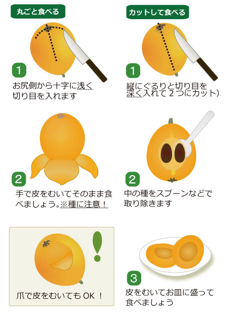 りんごの皮をむくなら包丁とピーラーのどっちが正解？検証してみたら驚きの事実が！生活知恵袋