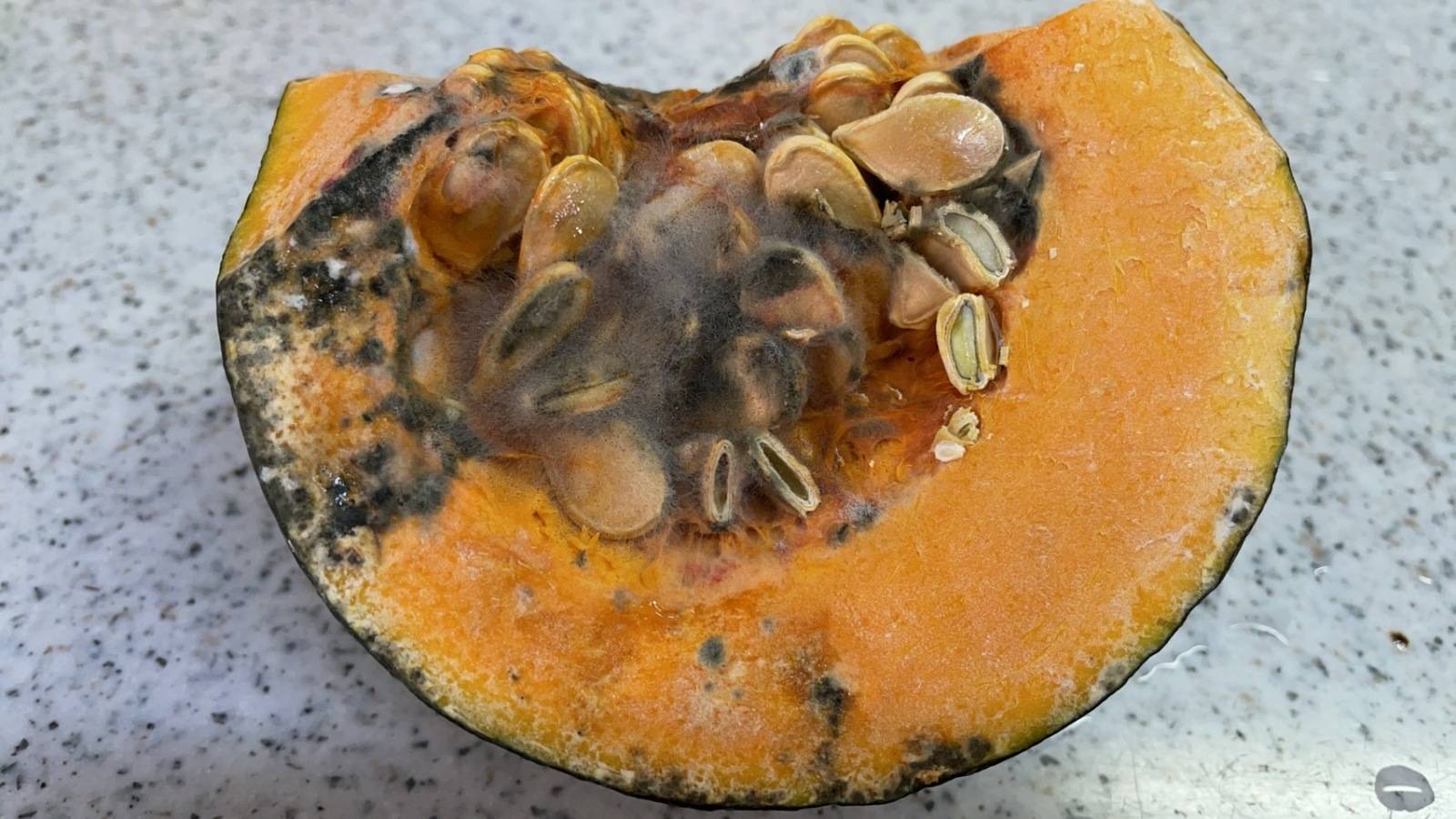 かぼちゃがこの様にカビてしまいました。表面から深めに切り落と- Yahoo!知恵袋