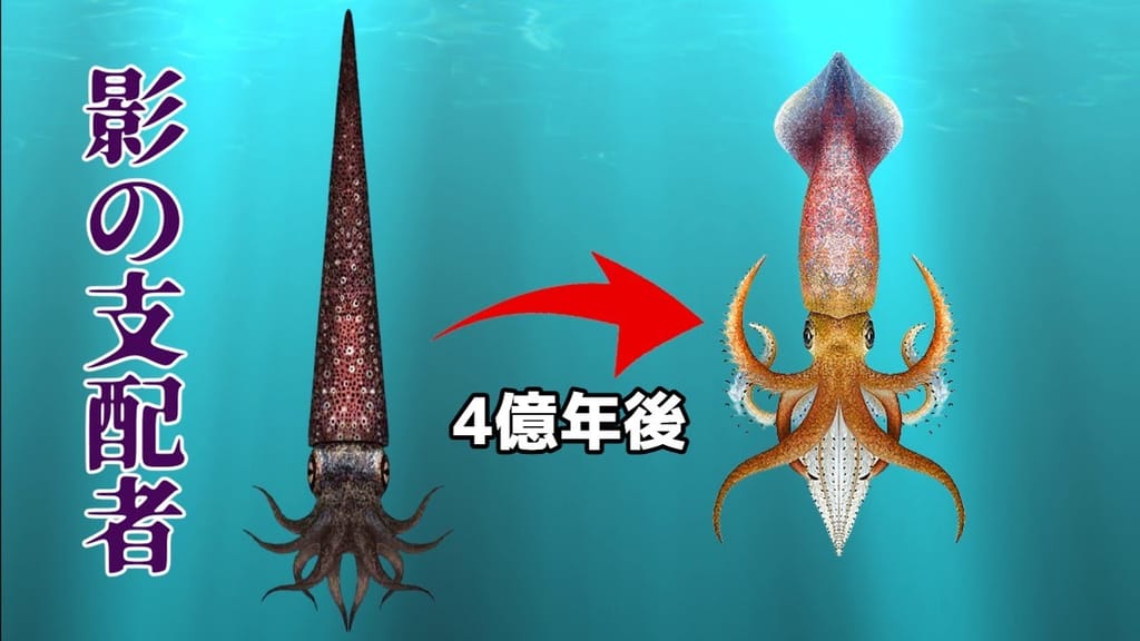 いか焼きに合う、イカの部位は？。kannsaiyakiegaoのブログ